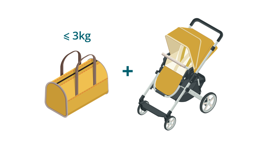 Hành lý xách tay cho trẻ em dưới 2 tuổi.