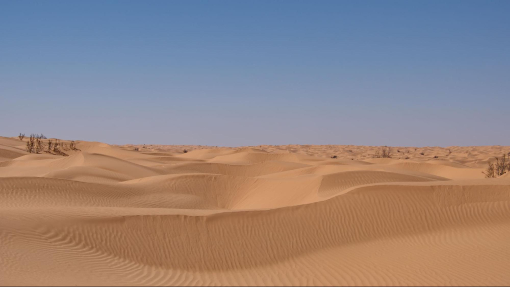 Cồn C&aacute;t Quang Ph&uacute; với những đồi c&aacute;t cao ấn tượng