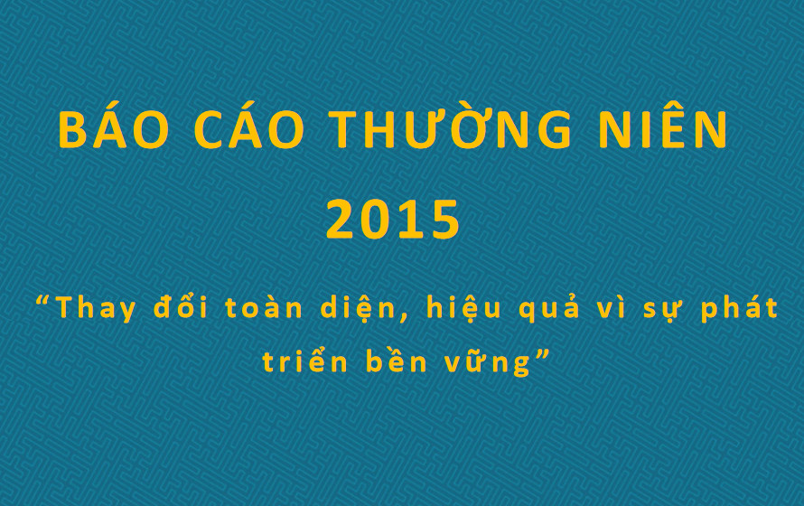 Báo cáo thường niên 2015