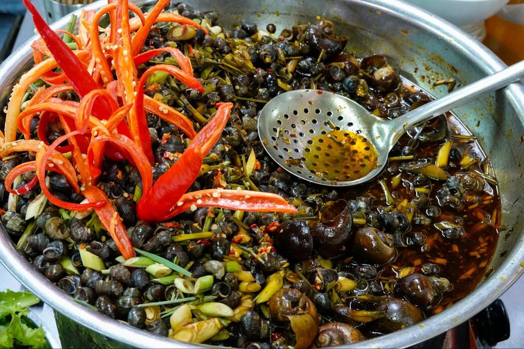 Ốc chảo với nhiều kiểu cách chế biến thơm ngon 