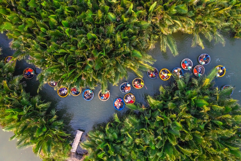 Cam Thanh coconut forest